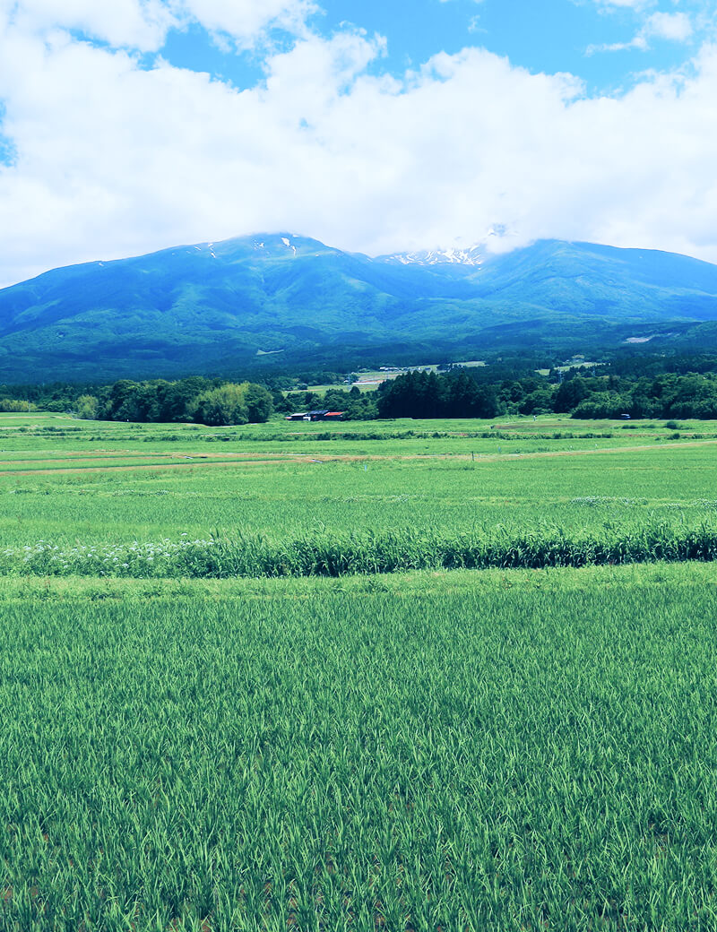 UIターン・移住を検討している皆さまへ:キービジュアル(表)